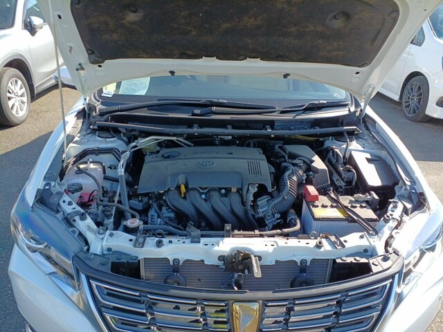 TOYOTA PREMIO, F-EX PKG