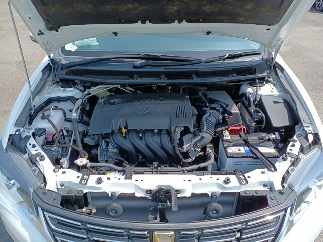 TOYOTA PREMIO (FL-PKG) 2021