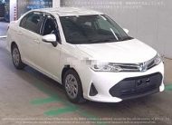 AXIO EX-PKG HYBRID 2021