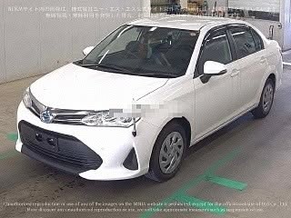 AXIO EX-PKG HYBRID 2021